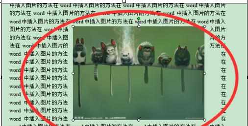 word怎么排版图片