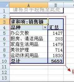 excel2007制作数据透视表的教程