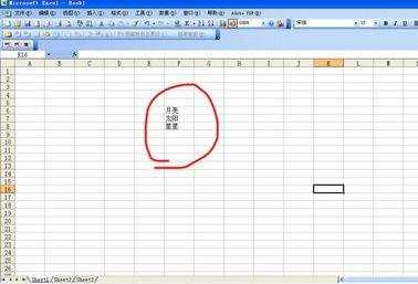 excel制作选项框的教程