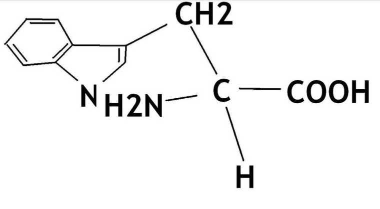 氨基酸的功效与作用及食物营养