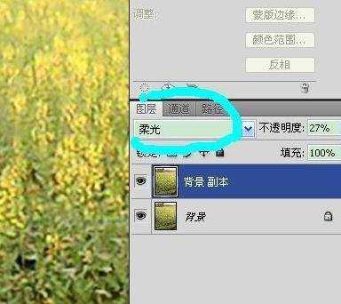 photoshop怎样处理模糊照片