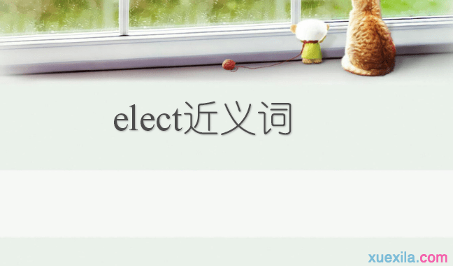 elect的近义词辨析