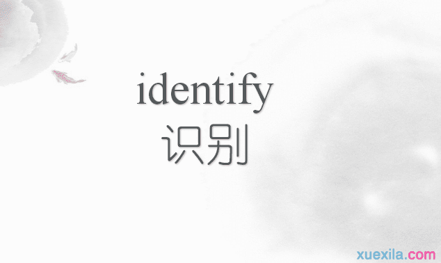 identify是什么意思