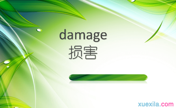 damage是什么意思