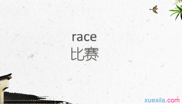 race是什么意思