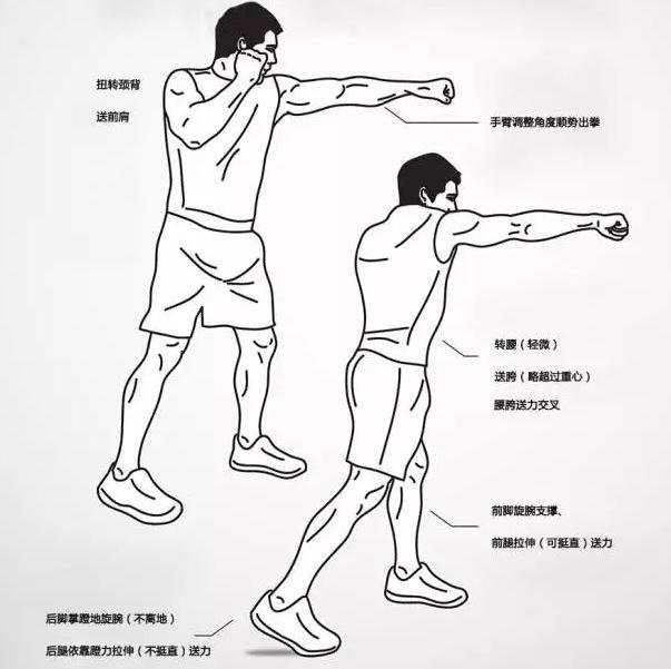 拳击的入门技巧 拳击的基本姿势