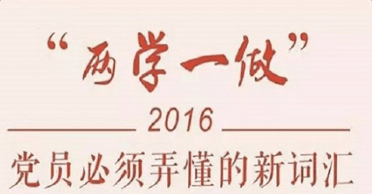 怎样开展两学一做学习教育活动