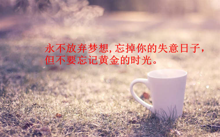 给正在打拼的人的励志句子