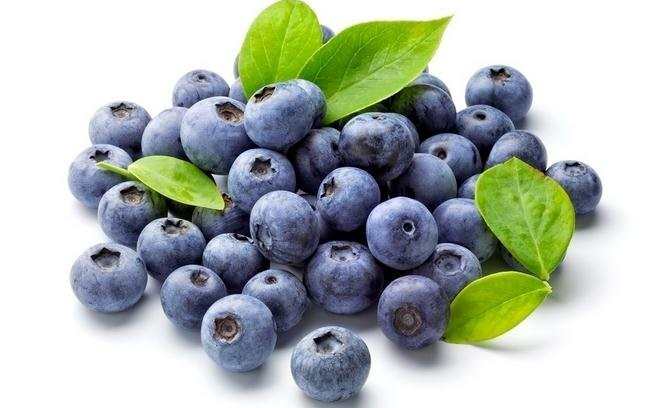 蓝莓的功效与作用及禁忌