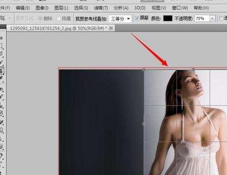 photoshopcs5如何裁剪图片