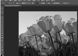photoshop如何将图片变黑白