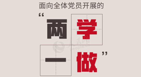 教师党员两学一做承诺书