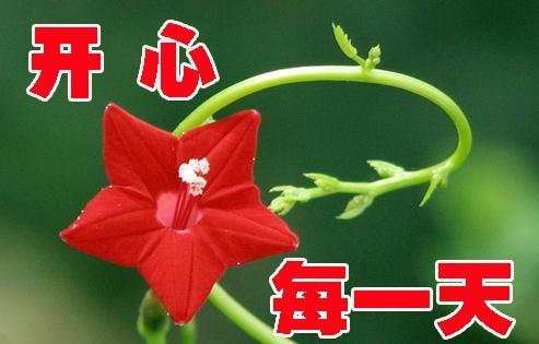 2016年祝福大家的话