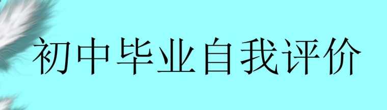 初中毕业综合素质自我评价200字