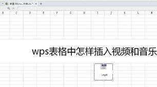 wps表格怎么插入视频图文教程