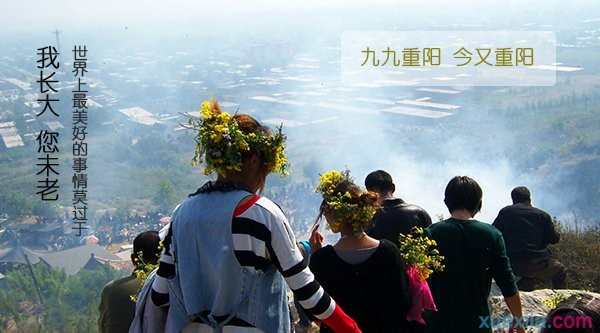 重阳节演讲稿5篇