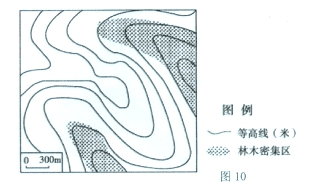 初中地理奥赛试题及答案