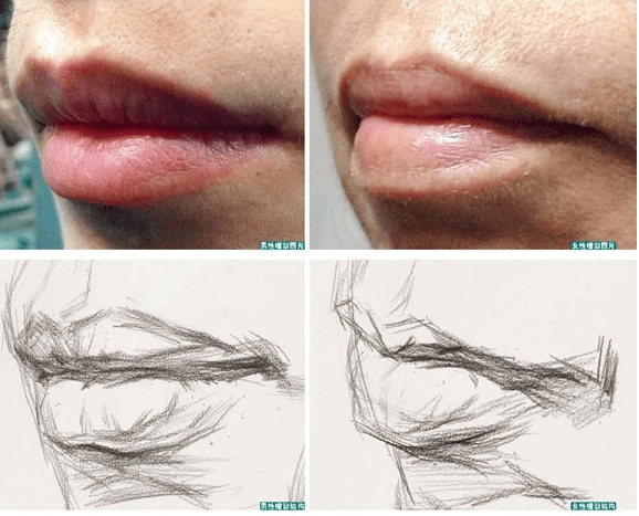 人物素描嘴巴的画法