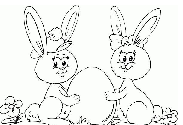 兔子简笔画动物图片大全