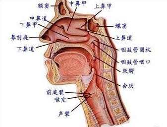 嗓子不好怎么唱歌 男生怎么练声不破音