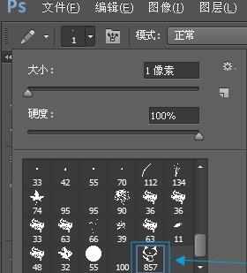 如何安装photoshop使用的笔刷