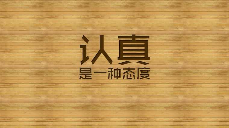 顶岗实习个人鉴定总结范文