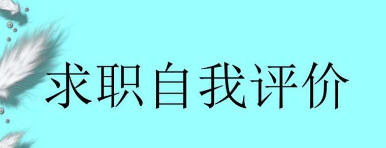 金融行业简历自我评价