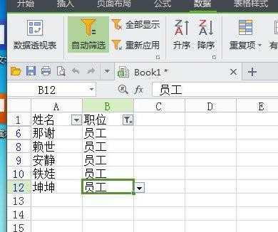 wps表格怎么使用有效性功能搜索内容