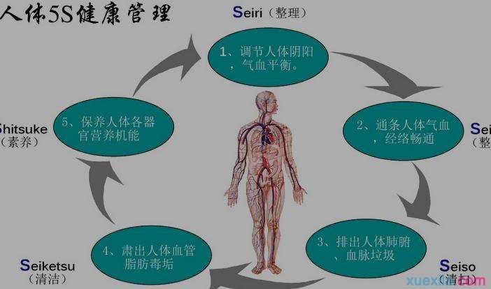 健康管理公司创意广告词