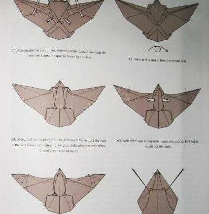 蝙蝠复杂手工折纸教程图解