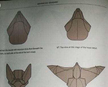 蝙蝠复杂手工折纸教程图解