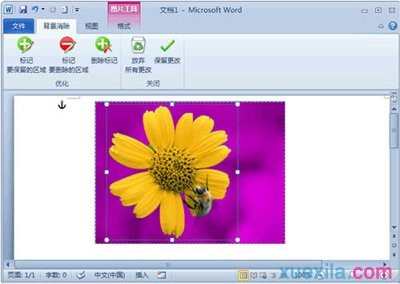 Word2010如何去除图片的背景