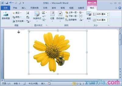 Word2010如何去除图片的背景