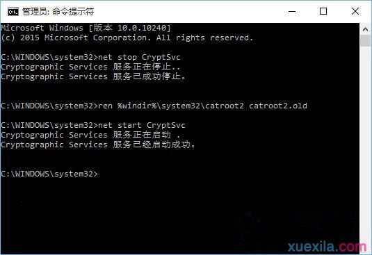 如何解决Win10系统重置后不能更新