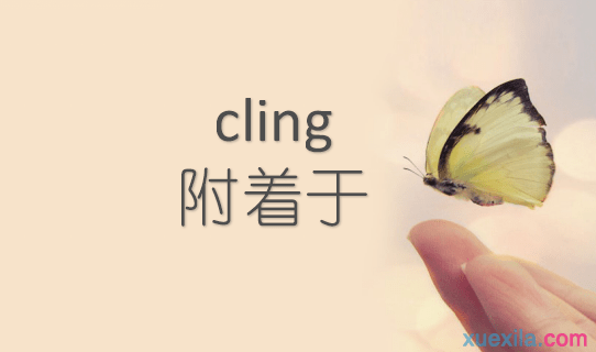 cling是什么意思 cling的英文意思