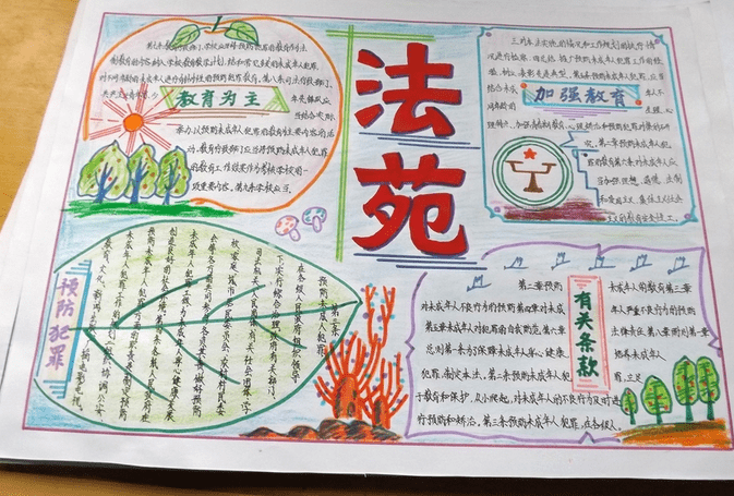 学生法制手抄报内容资料