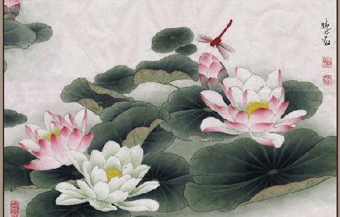 简单工笔画荷花图片，国画荷花工笔画图案