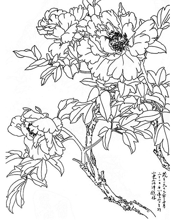 关于工笔画白描画稿，国画工笔画白描画图片