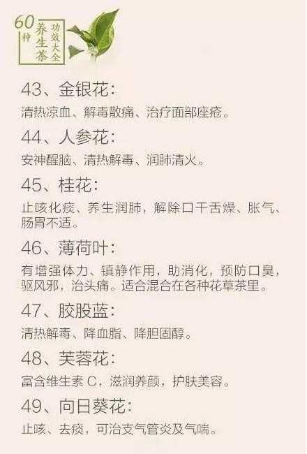 60种养生茶功效大全_喝养生茶有什么功效