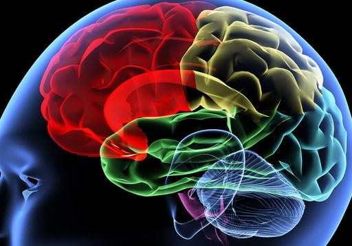 大脑记忆黄金时段是什么时候,大脑记忆的4个黄