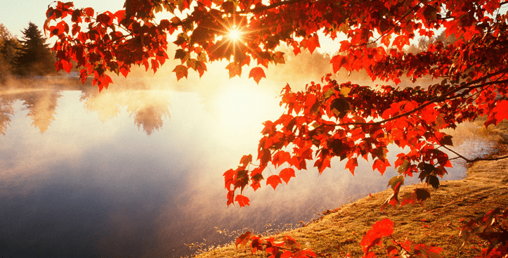 描写秋景唯美优雅的句子 关于秋天景色的唯美句子