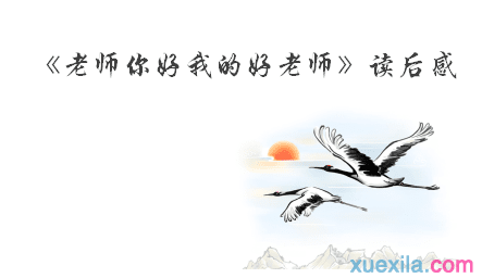 《老师你好，我的好老师》读后感3篇