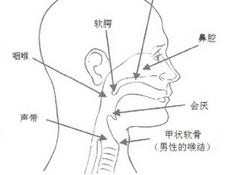 关闭唱法应该如何练习 关于唱歌气息的若干体会