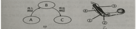 2016年湖南省长沙市中考生物试题及答案