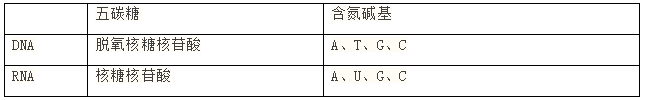 生物必修二第二章知识点总结