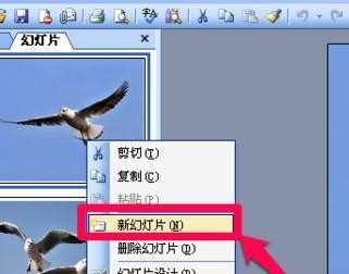 ppt怎样插入新幻灯片，如何在ppt中插入幻灯片