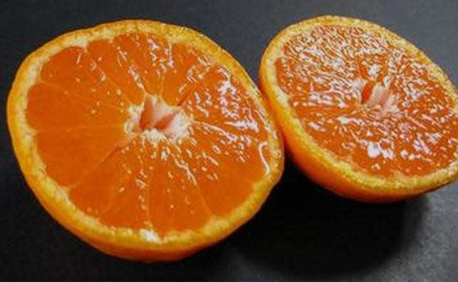 关于柑橘的广告词有哪些,柑橘的宣传广告词推
