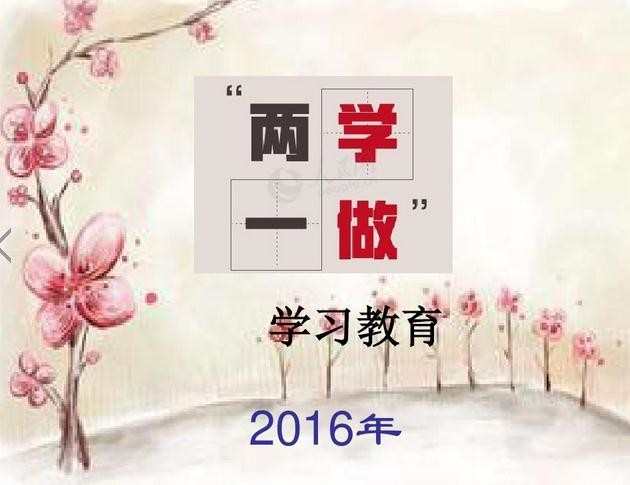 2016年上半年党建总结结合两学一做