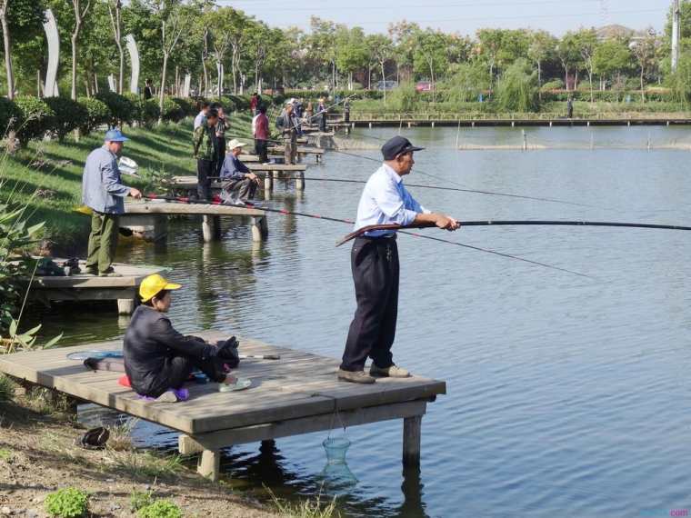 海竿钓鱼三要素是什么 海竿钓鱼三要素