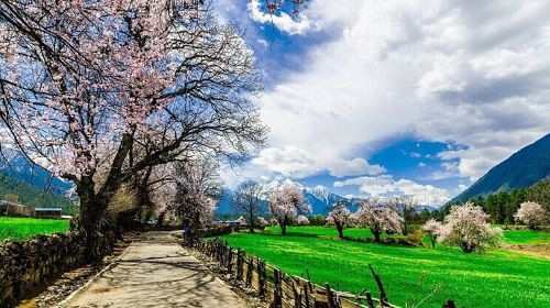 林芝旅游注意事项有哪些 林芝旅游景点及美食攻略